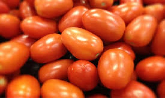 Tomate Criollo